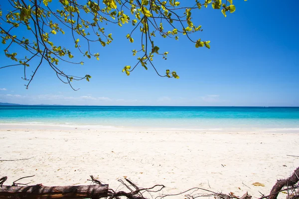 Spiaggia e sabbia tropicale — Foto Stock