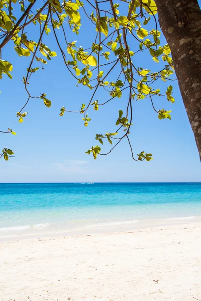 Playa y arena marina tropical — Foto de Stock