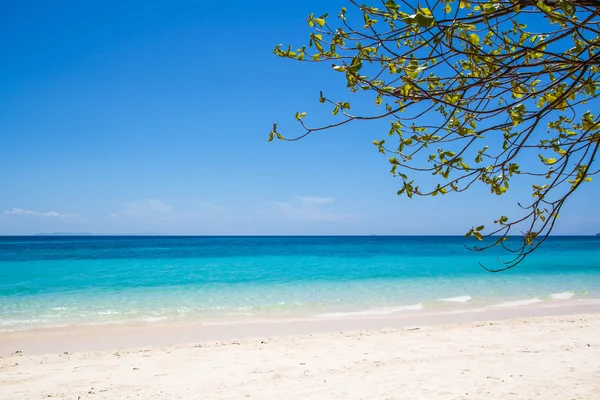 Plage et sable tropical de la mer — Photo