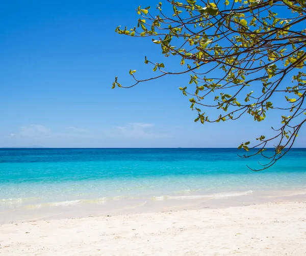 Strand und tropischer Meeressand — Stockfoto