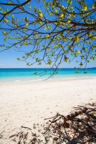 Strand und tropischer Meeressand — Stockfoto