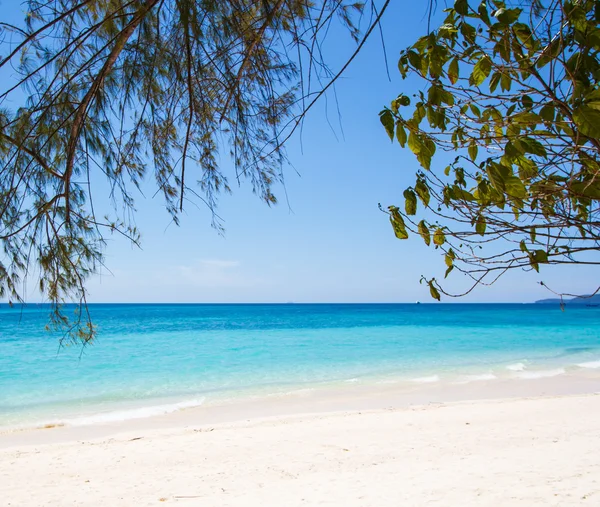 Spiaggia e sabbia tropicale — Foto Stock