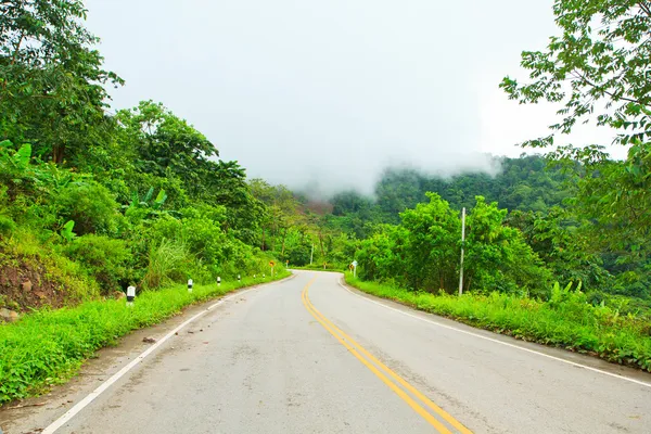 Camino pavimentado sinuoso — Foto de Stock