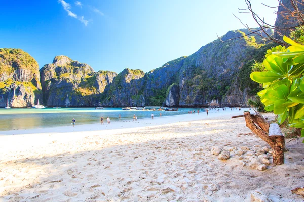 Schöner Sandstrand — Stockfoto