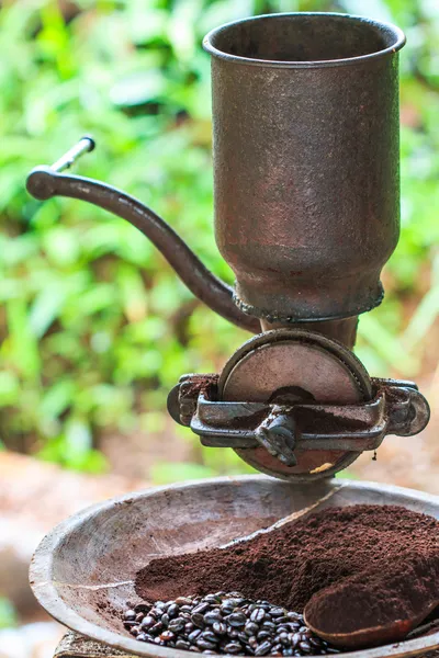 Traditional coffee Original coffee at Doi Inthanon National par — Stock Photo, Image