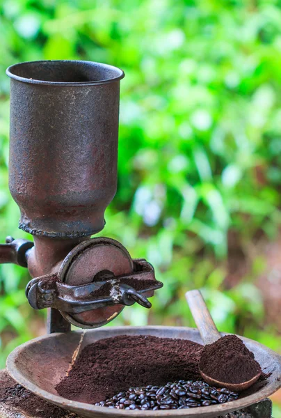 Traditional coffee Original coffee at Doi Inthanon National par — Stock Photo, Image