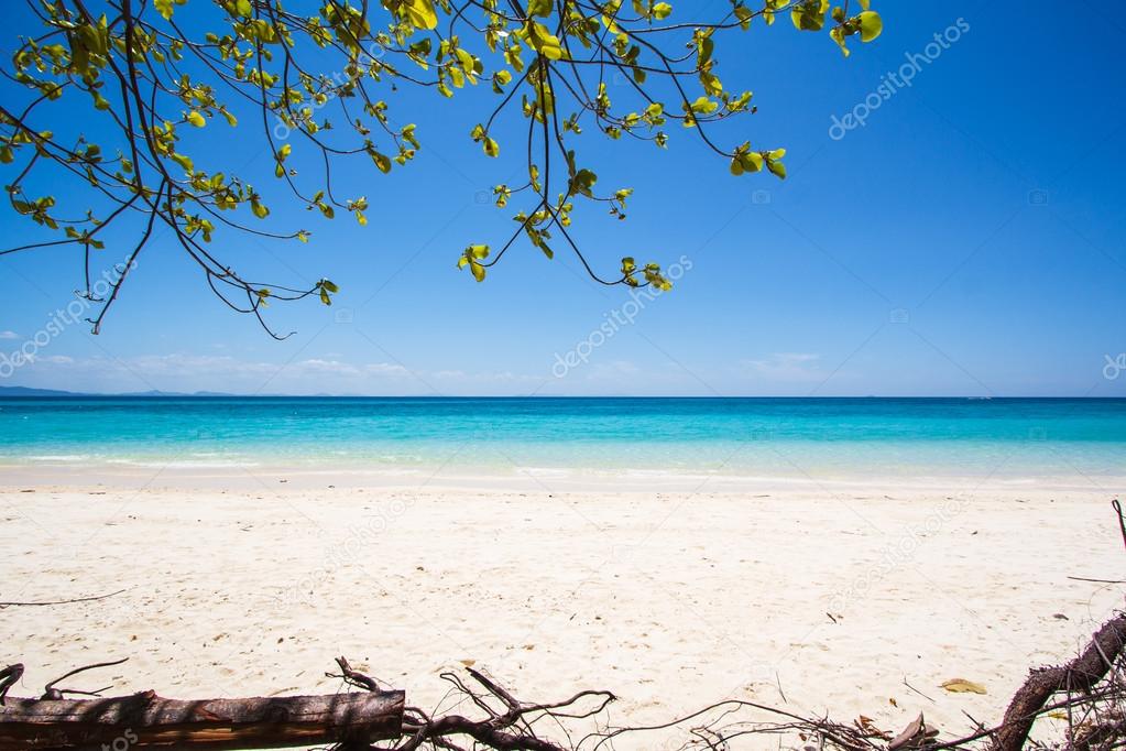 Beach and tropical sea sand