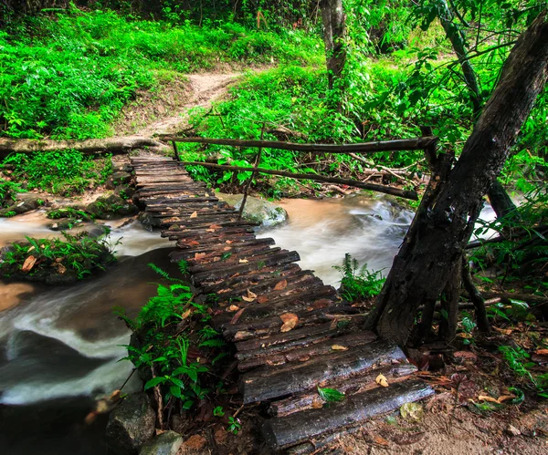 Пеший мост через водопады — стоковое фото