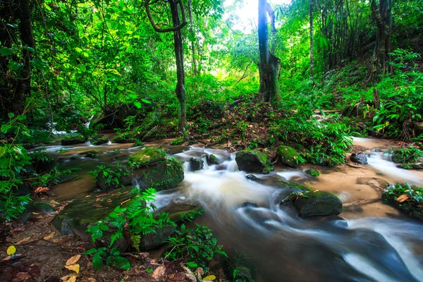 Cascada en la selva tropical — Foto de Stock
