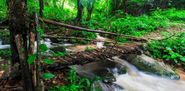 Pasarela a través de las cataratas — Foto de Stock