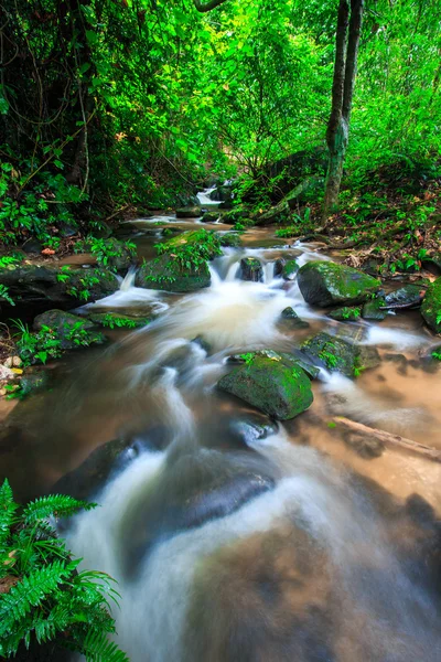 Vattenfall i regnskogen — Stockfoto