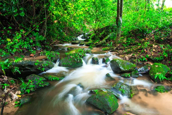 Waterfall in rainforest — Stock Photo, Image