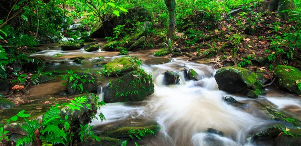 Vattenfall i regnskogen — Stockfoto