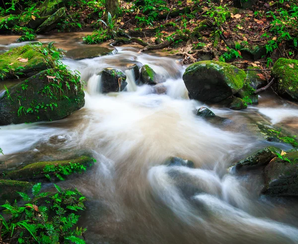 Cascada en la selva tropical — Foto de Stock