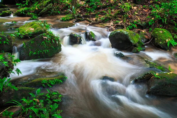 Водопад в тропических лесах — стоковое фото