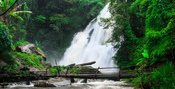 Vízesés a rainforest — Stock Fotó
