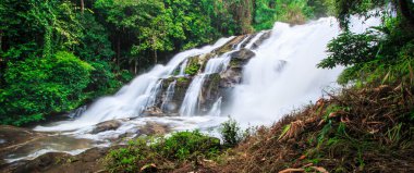 yağmur ormanlarında şelale