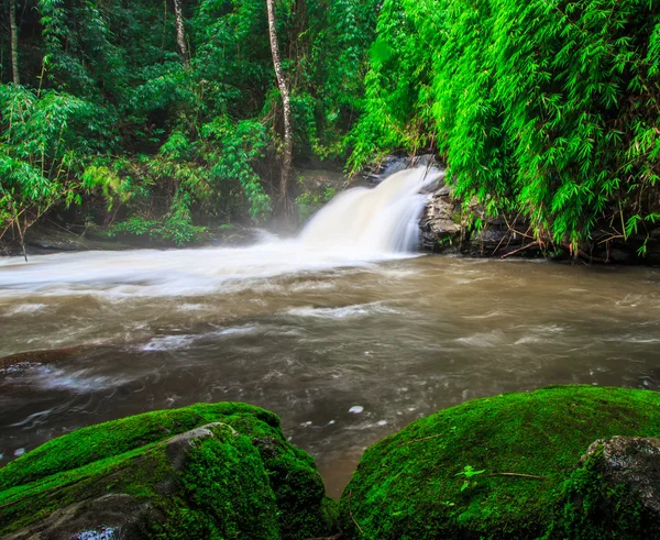 Cascada en la selva tropical — Foto de Stock
