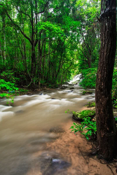 Cascada en la selva tropical — Foto de Stock