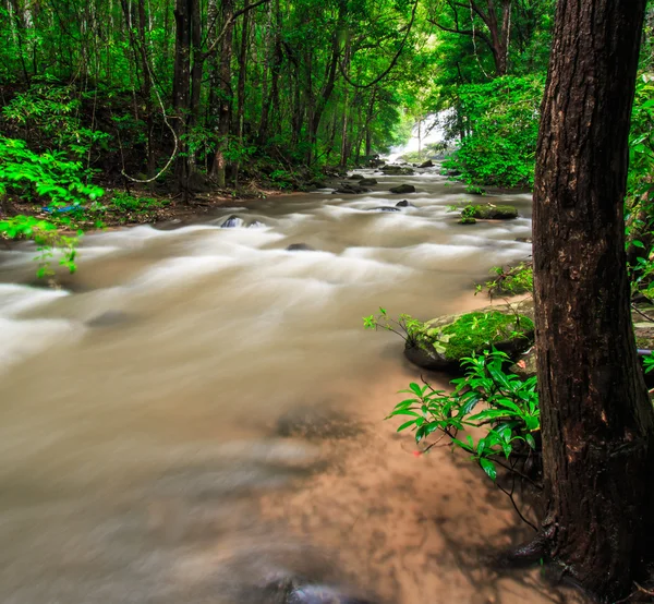 Waterval in het regenwoud — Stockfoto