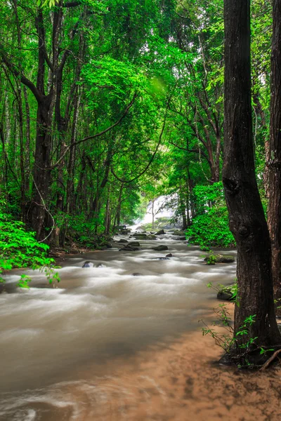 Waterval in het regenwoud — Stockfoto