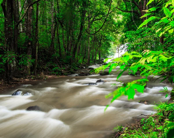 Cascada en la selva tropical — Foto de Stock