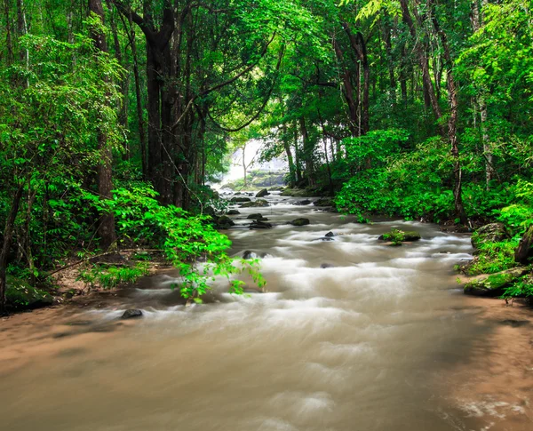 Waterval in het regenwoud — Stockfoto