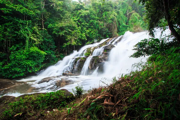 Cascada en la selva tropical — Foto de Stock