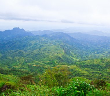 tropikal dağ silsilesi