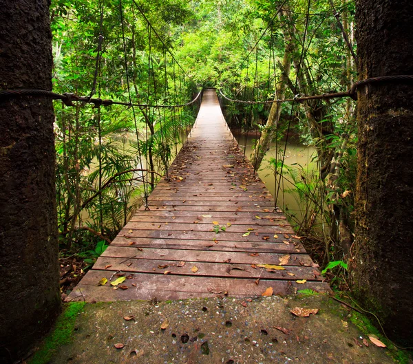 Suspension bridge — Stock Photo, Image