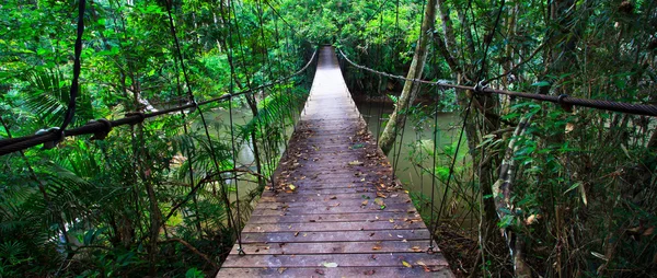 Puente colgante —  Fotos de Stock