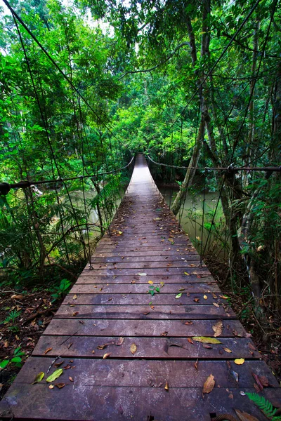 Ponte de suspensão — Fotografia de Stock