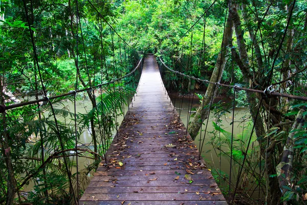 Suspension bridge — Stock Photo, Image