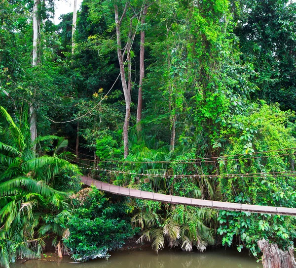 Suspension bridge — Stock Photo, Image