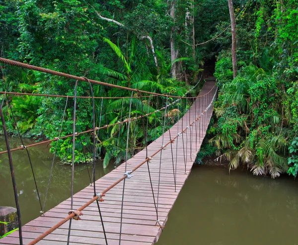 Suspension bridge — Stock Photo, Image