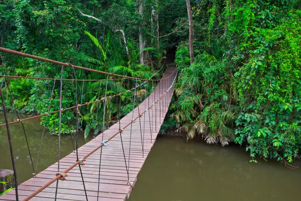 Suspension bridge — Stock Photo, Image