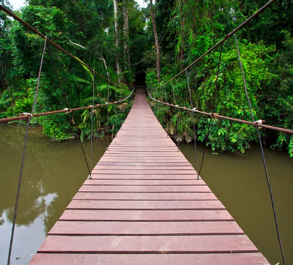 Suspension bridge — Stock Photo, Image