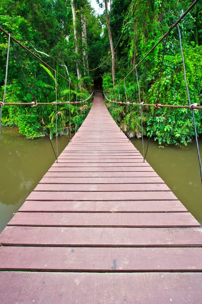 Hangbrug — Stockfoto