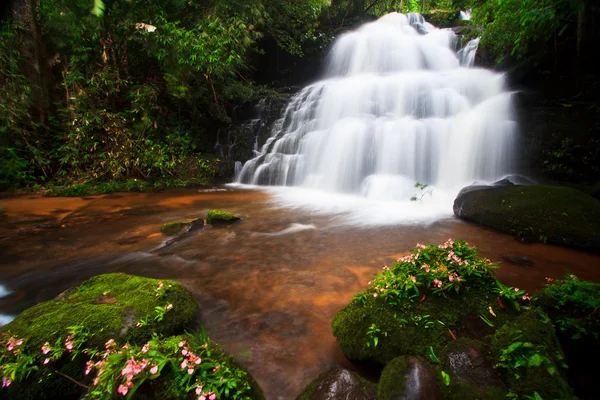 Wasserfall — Stockfoto