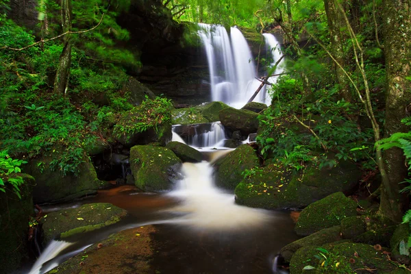 Waterfall — Stock Photo, Image