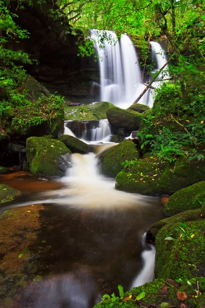 Cascada — Foto de Stock