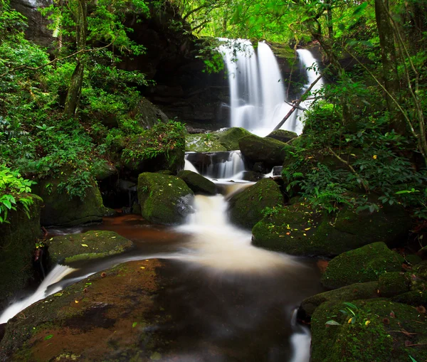 Cascata — Foto Stock