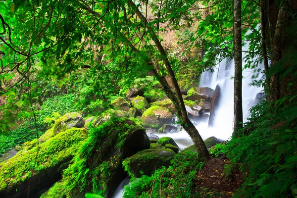 Wasserfall — Stockfoto