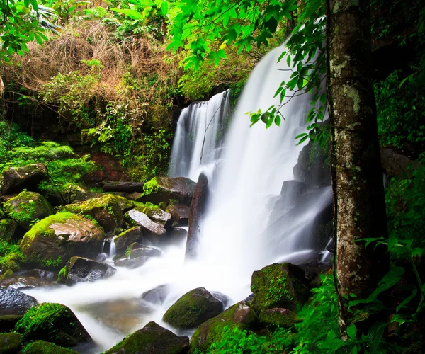 Waterval — Stockfoto