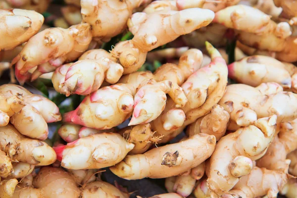 Fresh ginger — Stock Photo, Image