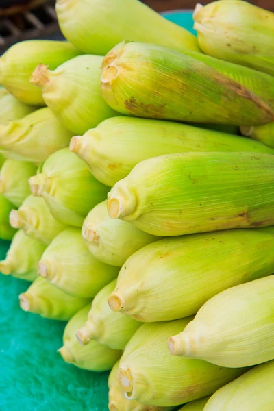 Groene maïs — Stockfoto