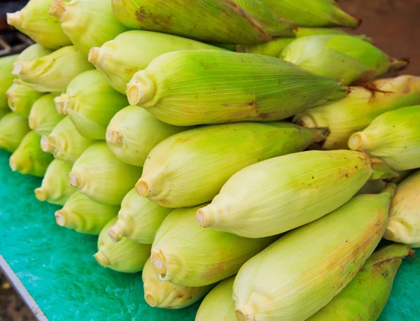 Groene maïs — Stockfoto