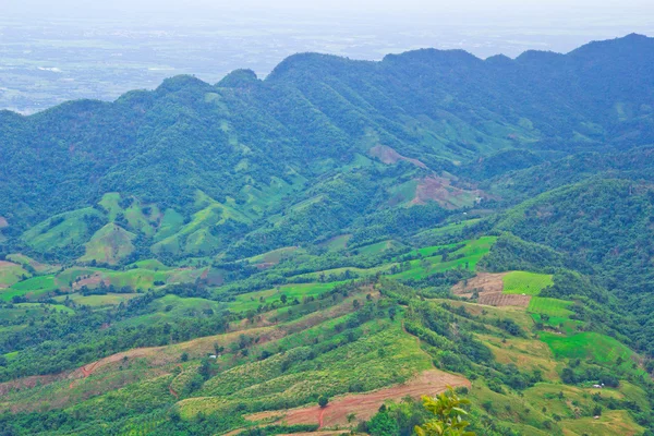 Cordillera tropical — Foto de Stock