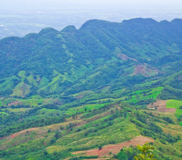 Tropische gebergte — Stockfoto