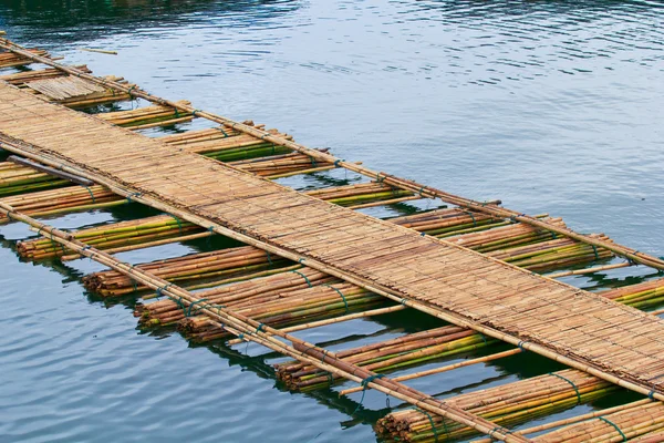 Bambus bro over floden - Stock-foto